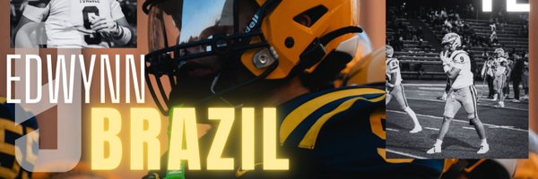 BrazilWynn Profile Banner