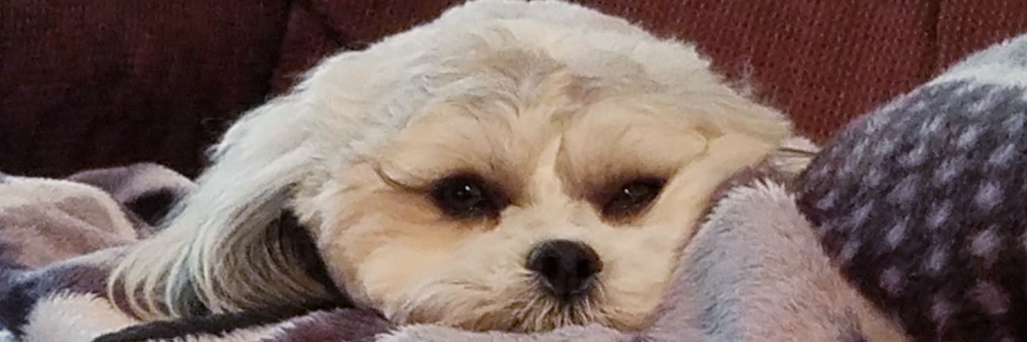Framin_Raymond's profile banner image