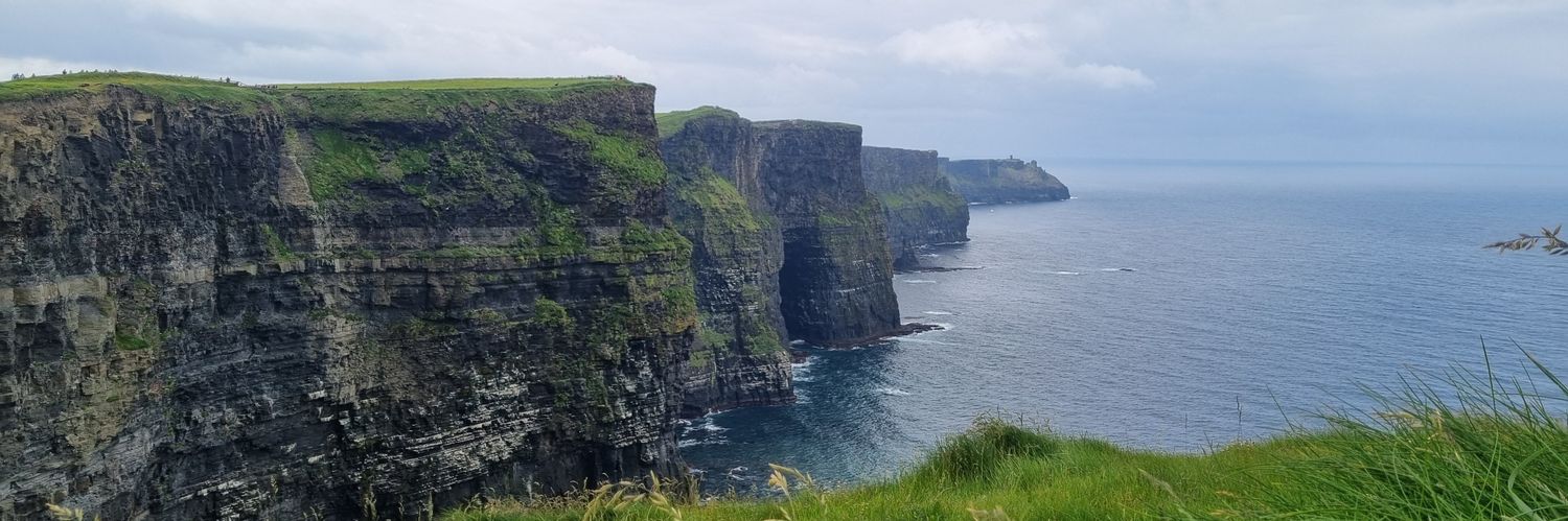 Alexis Whitton banner