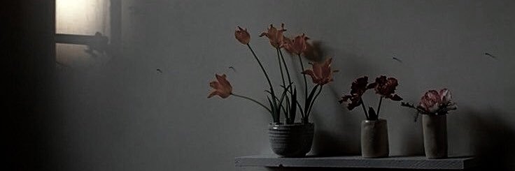 2025Ao's profile banner image