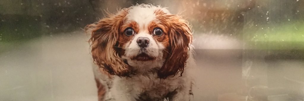 sarahlglover's profile banner image