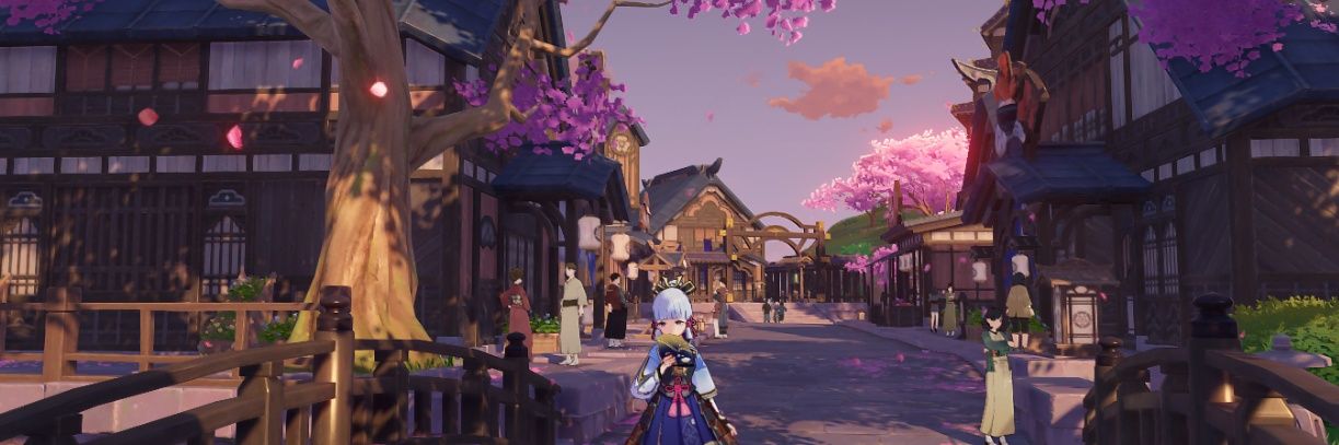 witteroosje's profile banner image