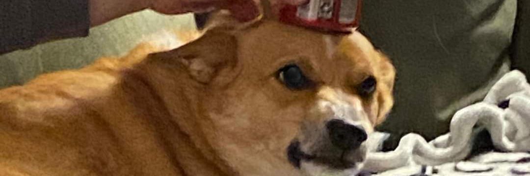 CuddlePear69🔞 banner