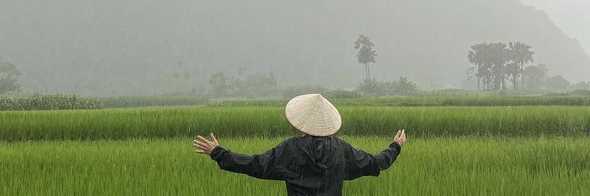 LouisTran98's profile banner image