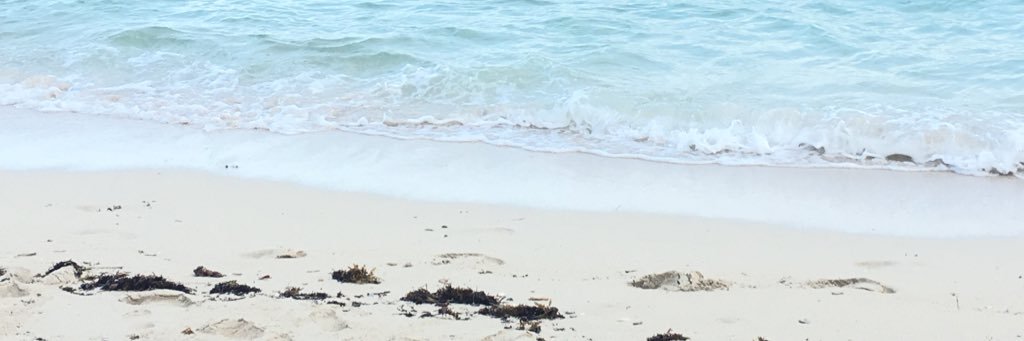 Florsaaa's profile banner image