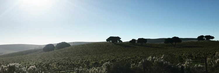 MeganMurphy's profile banner image