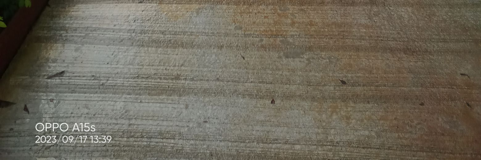 koisingle999's profile banner image