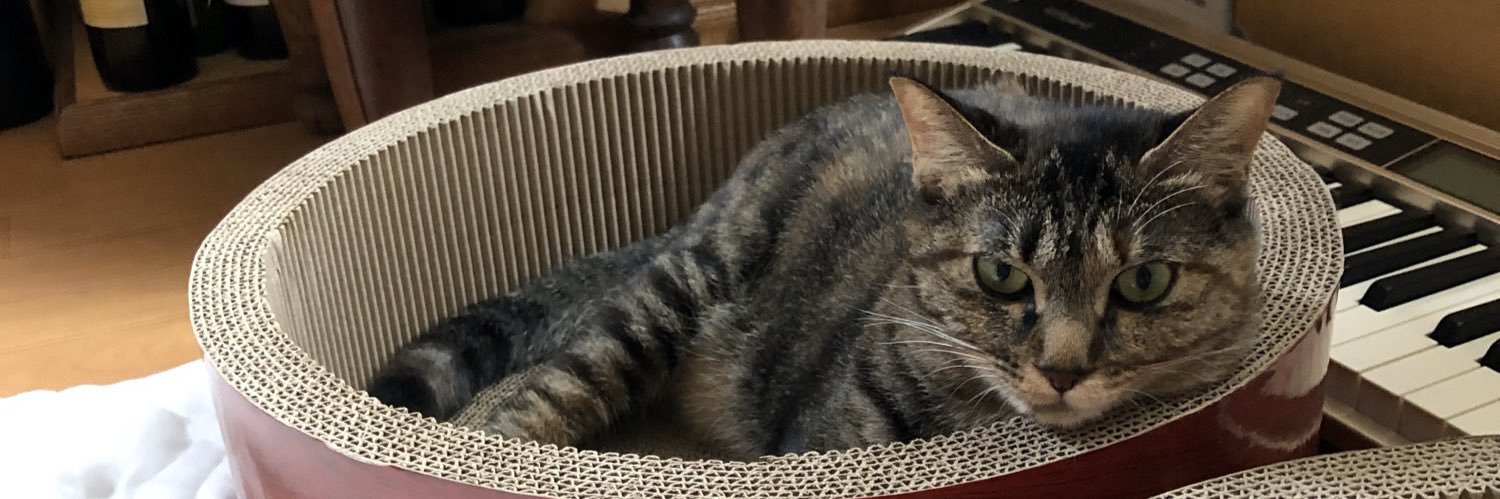 濱元 "HAMA" 智行 banner