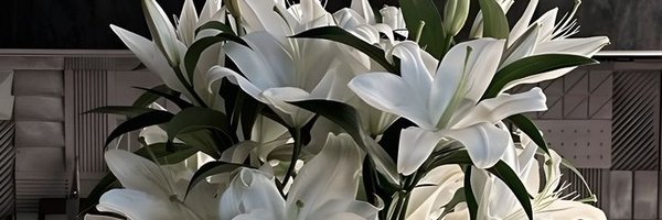 wzohee Profile Banner