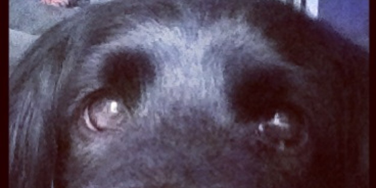 ConnieToone's profile banner image