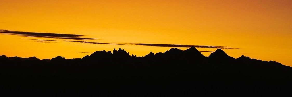bluntz banner
