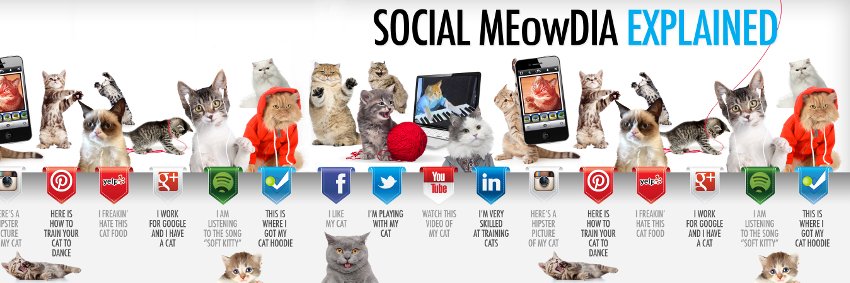 Internet Marketing banner