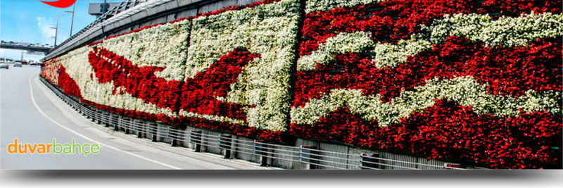 duvarbahce's profile banner image
