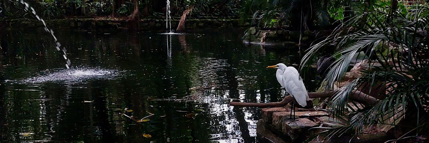 laiscretina's profile banner image