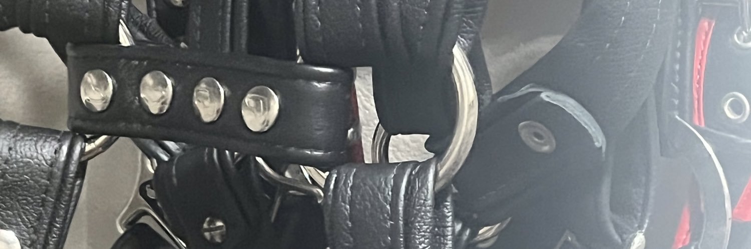 skapunkcub's profile banner image