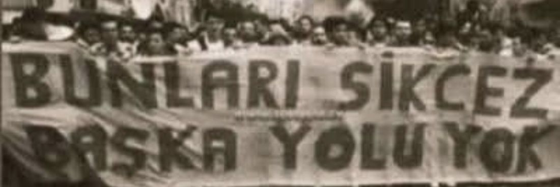 enesacha banner