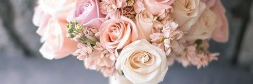 ShandraMey's profile banner image