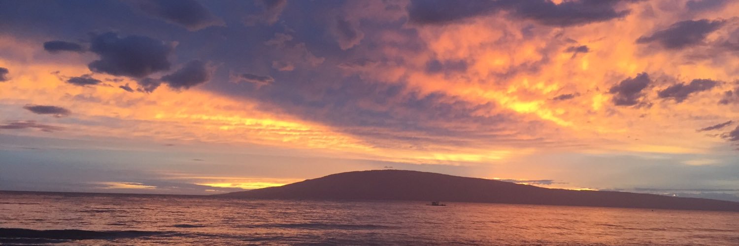 Deborah Barta banner