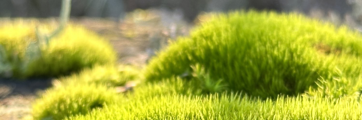 FabFoodStylist's profile banner image