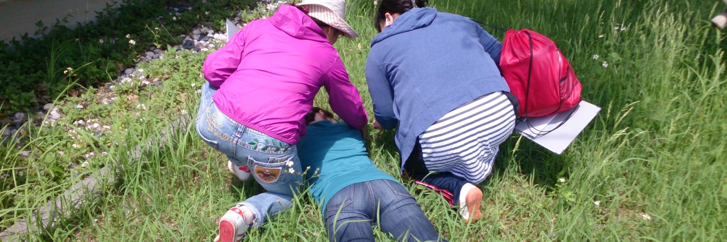 bls_okinawa's profile banner image