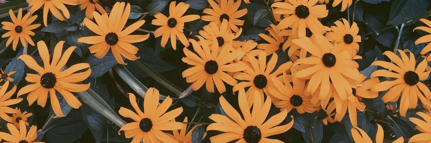 Caylay's profile banner image