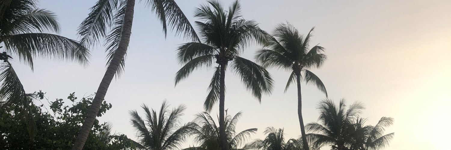 camilleluces's profile banner image