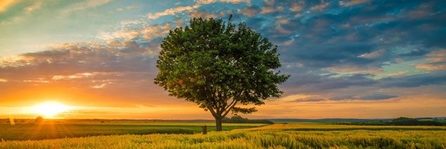 alcj_com's profile banner image
