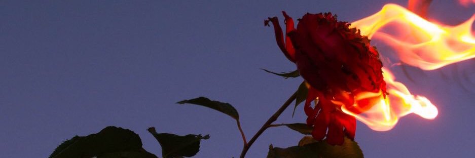 Alpaslaaan's profile banner image