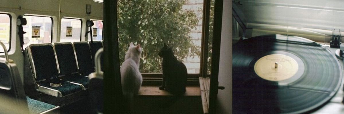 wavetopudu's profile banner image