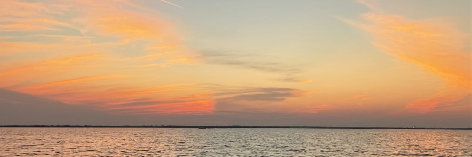 lindssbloss's profile banner image