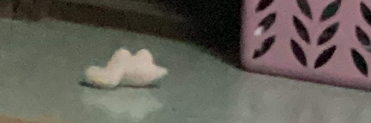 Taveelxp's profile banner image