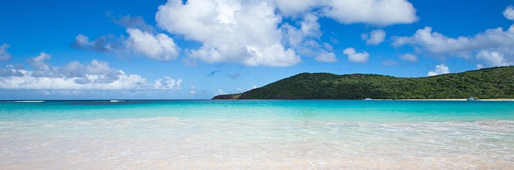 María Vázquez-Machado banner