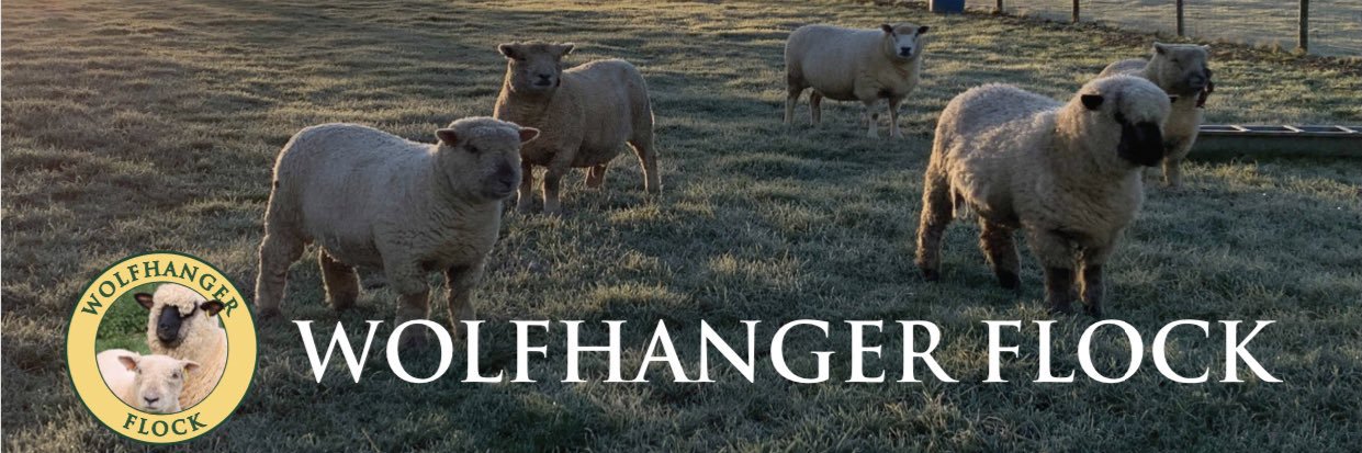 wolfhangersheep's profile banner image