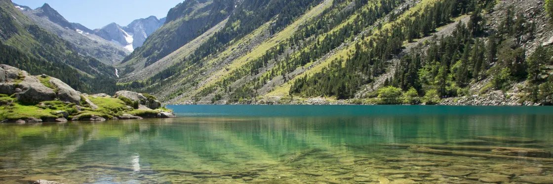 Andreas Rüdinger banner