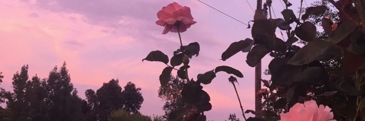 iamjas__'s profile banner image