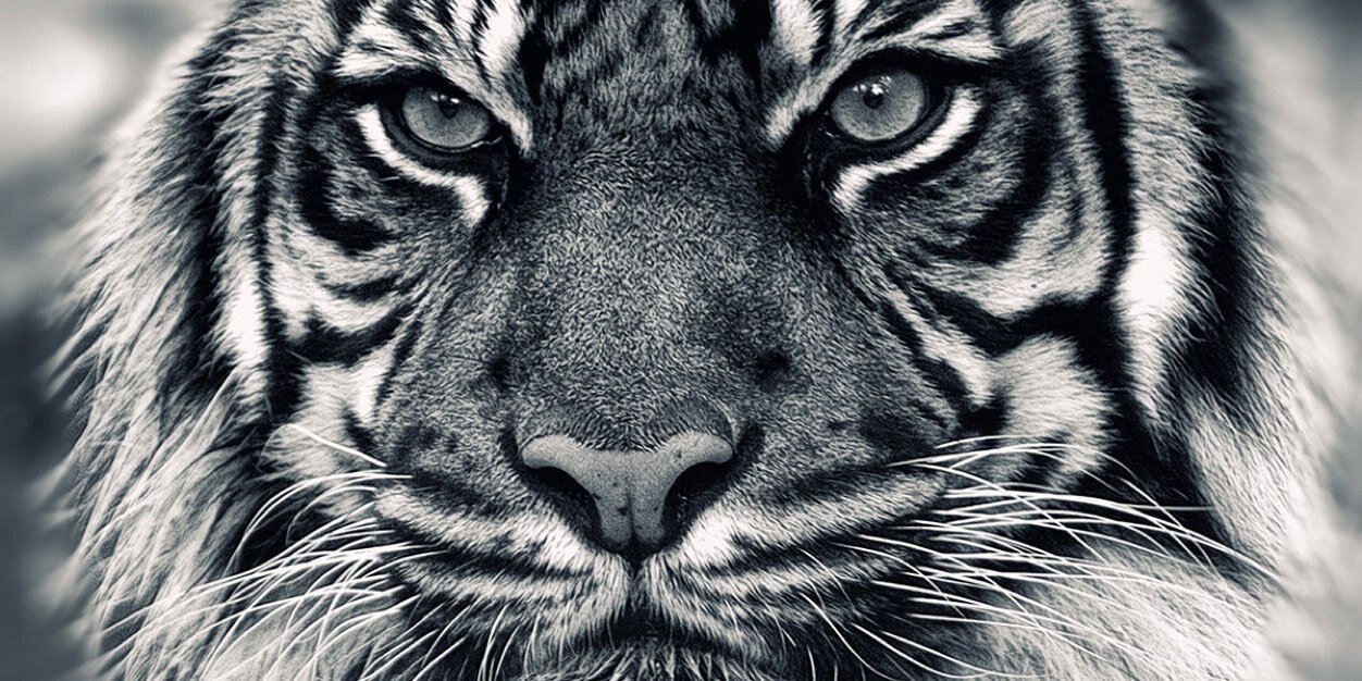 masufdez's profile banner image
