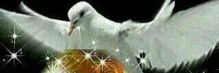 ritadacorte's profile banner image