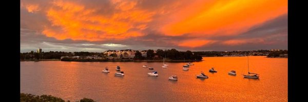 David3131313 Profile Banner