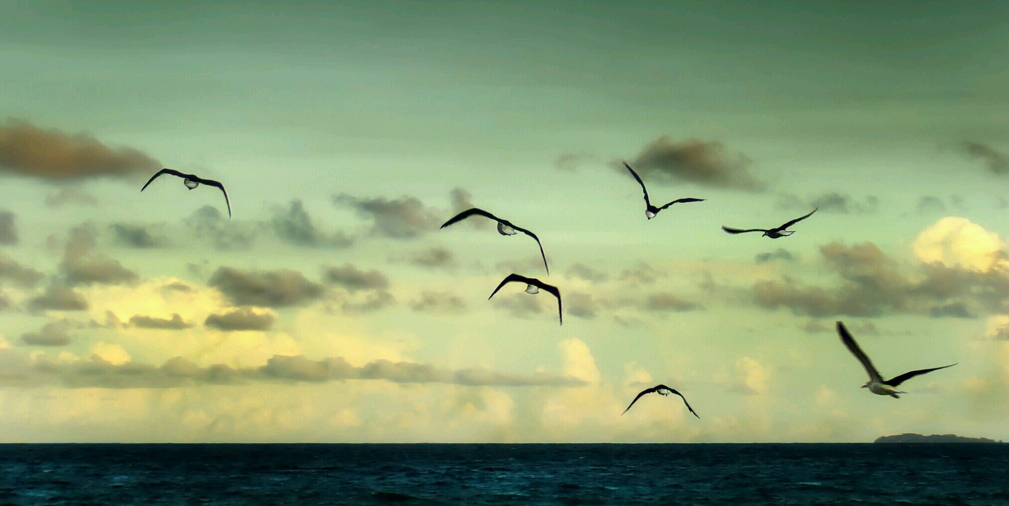 P_J_Fernandez's profile banner image
