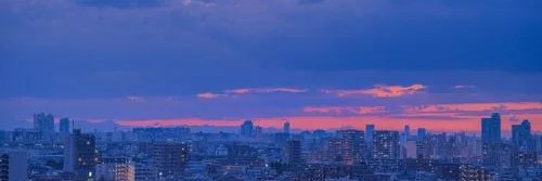 Mayme banner