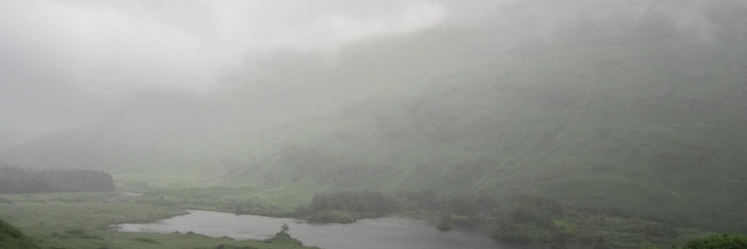 schimmer's profile banner image