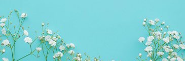 miie3's profile banner image