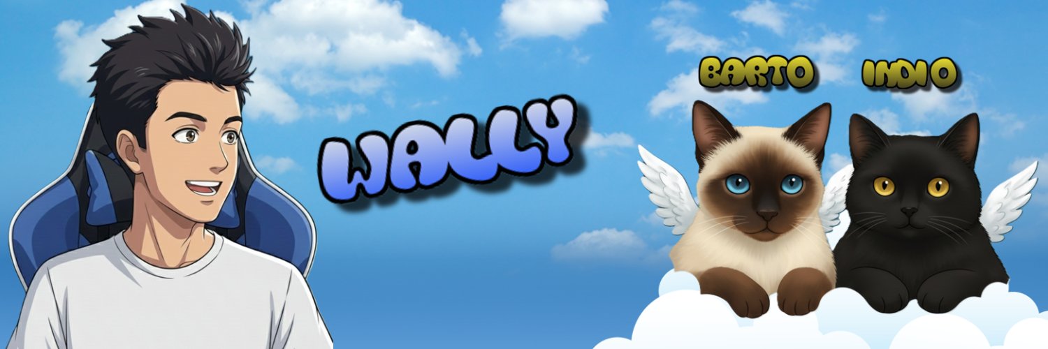 Wally 🇦🇷⭐️⭐️⭐️ 🇦🇷 banner