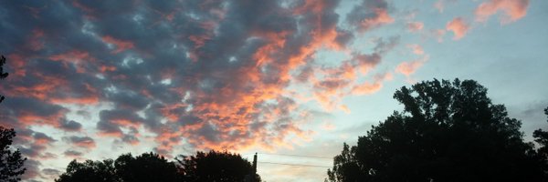 Thomaserb Profile Banner