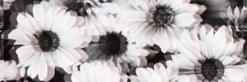 ichayns's profile banner image