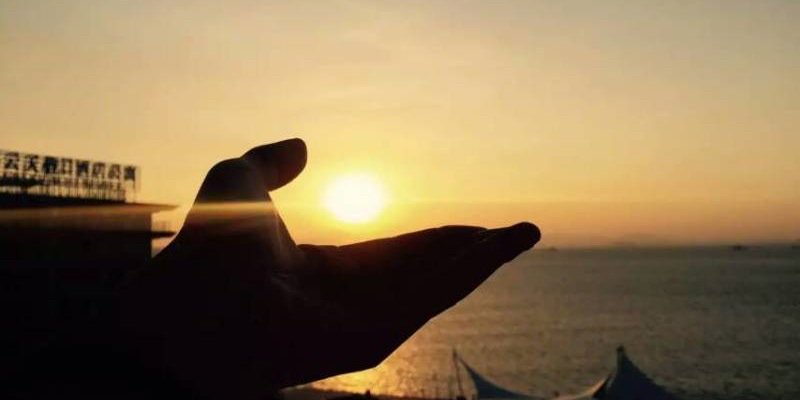 bittersweet|🧠SENT banner