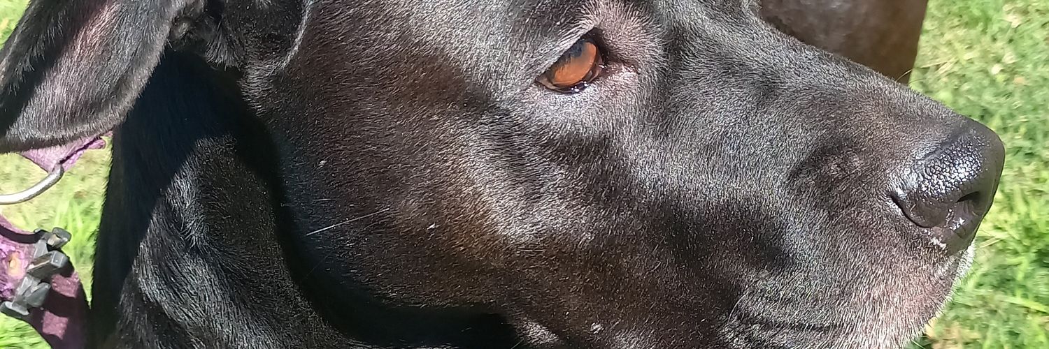 DebiiiIan's profile banner image