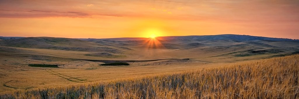 Calvin 🏳️‍🌈 banner