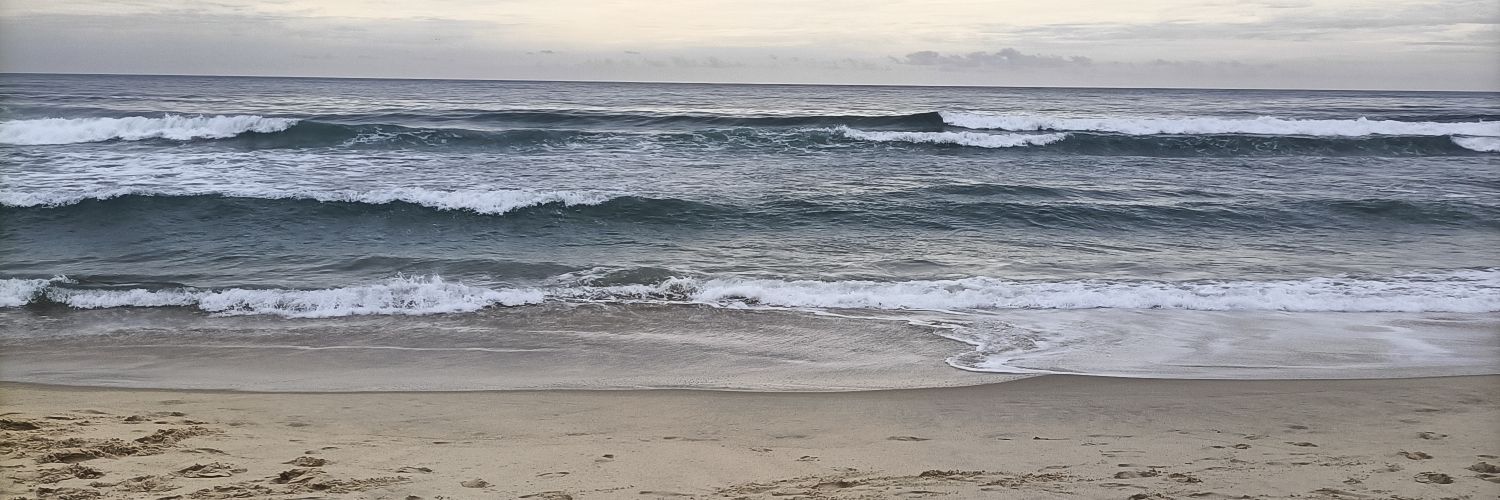 gomezz099's profile banner image