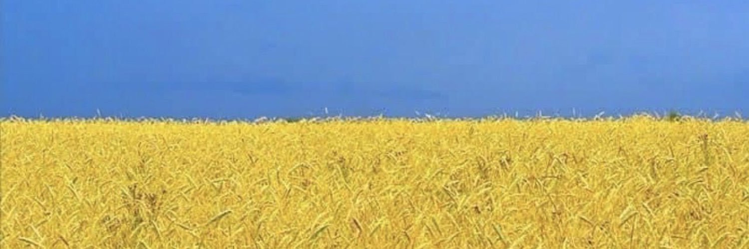HangaiH's profile banner image